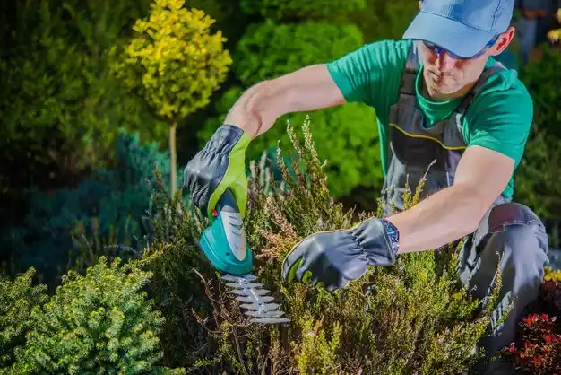 landscaping services Milford